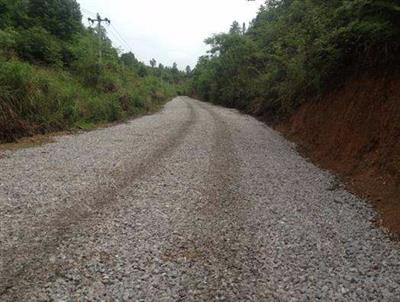 棗莊國有林場部通硬化路建設項目