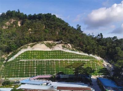 鎮遠縣青溪鎮河東村巖山腳組滑坡地質災害防治工程